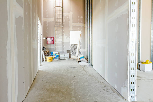 Professional Mold Removal in Anahola, HI